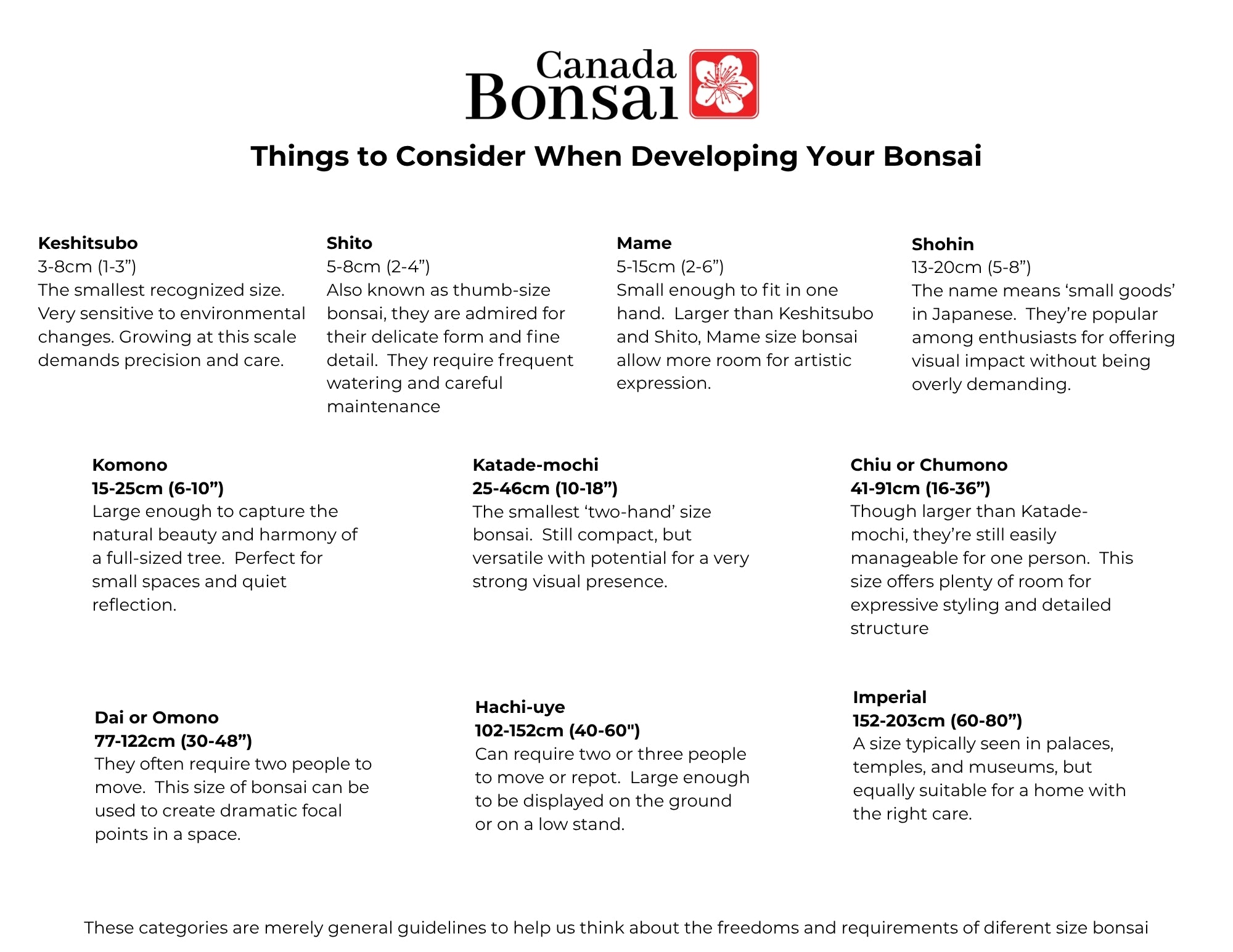 Create your own Bonsai Kit (Outdoor) - FREE SHIPPING