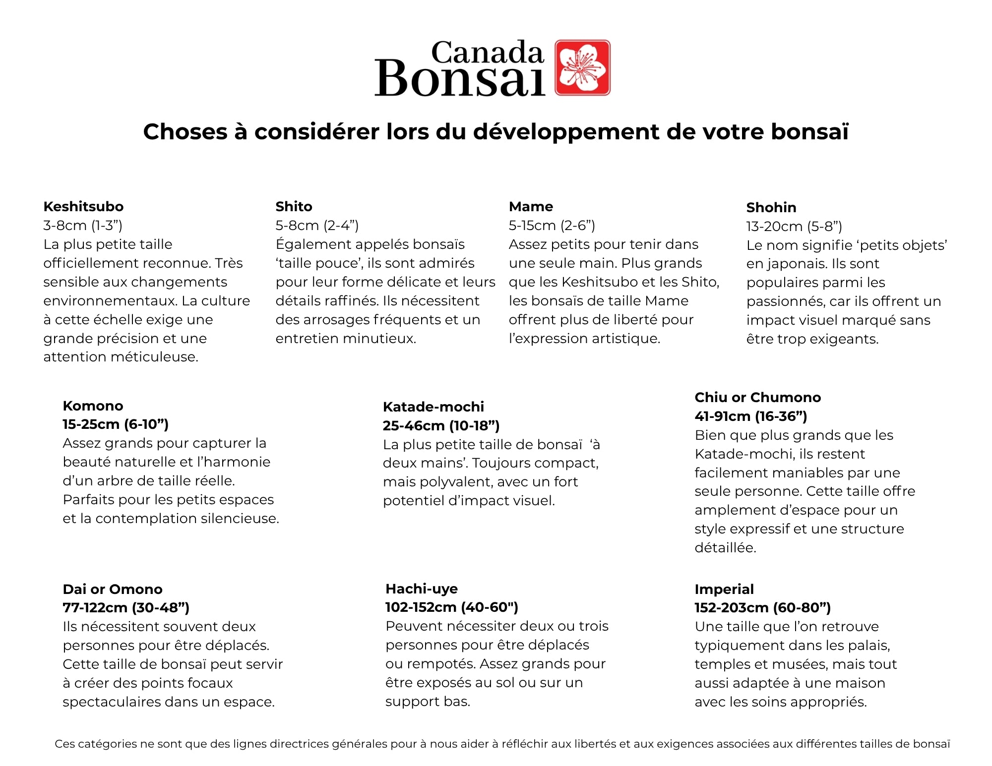Create your own Bonsai Kit (Outdoor) - FREE SHIPPING