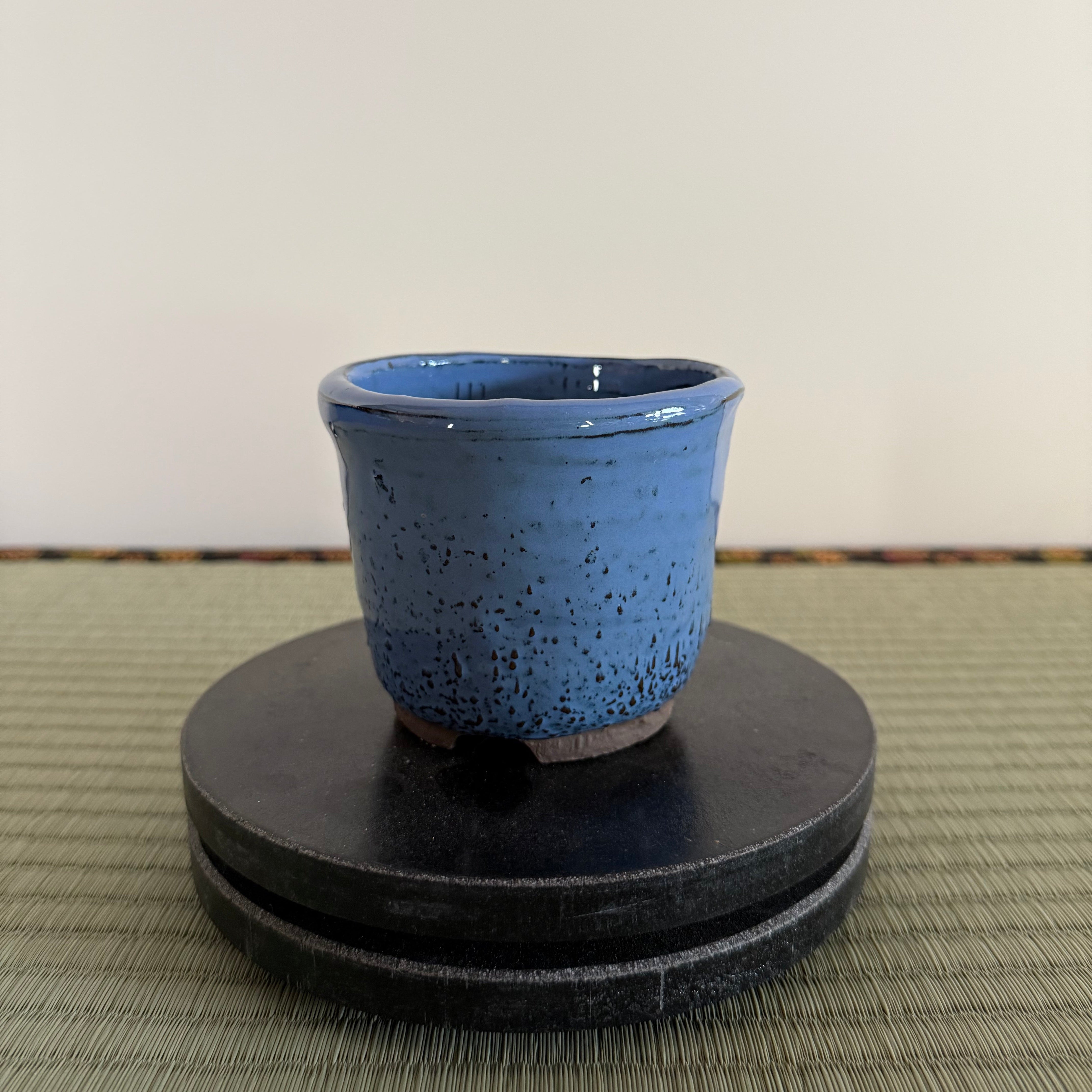 Bonsai Pot