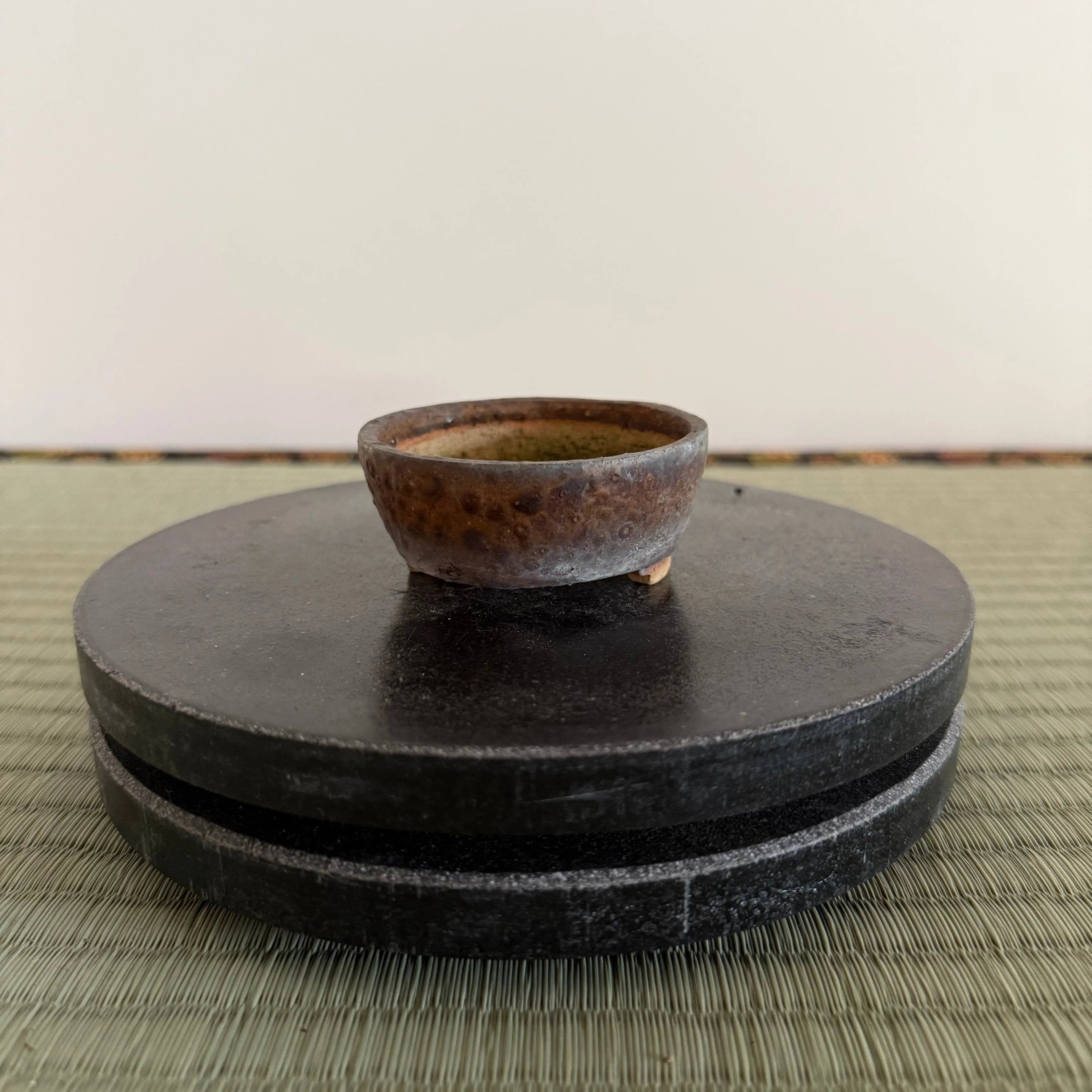 Bonsai Pot Canada Bonsai