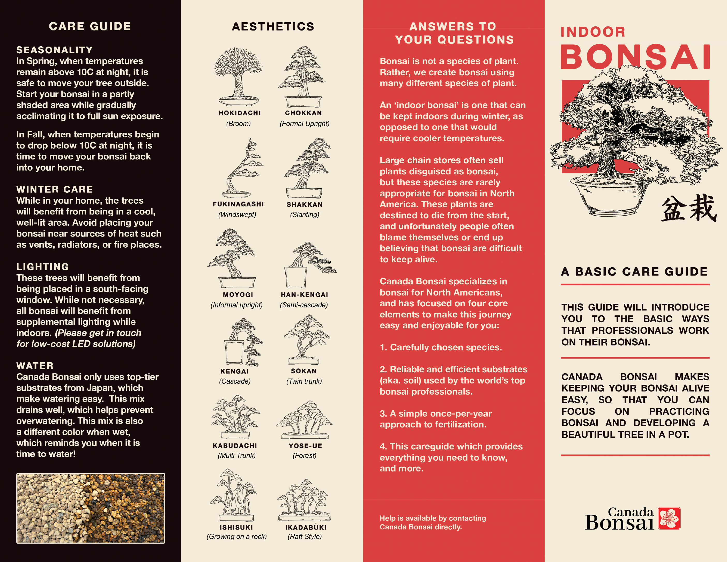 Create your own Bonsai Kit (Indoor) - FREE SHIPPING