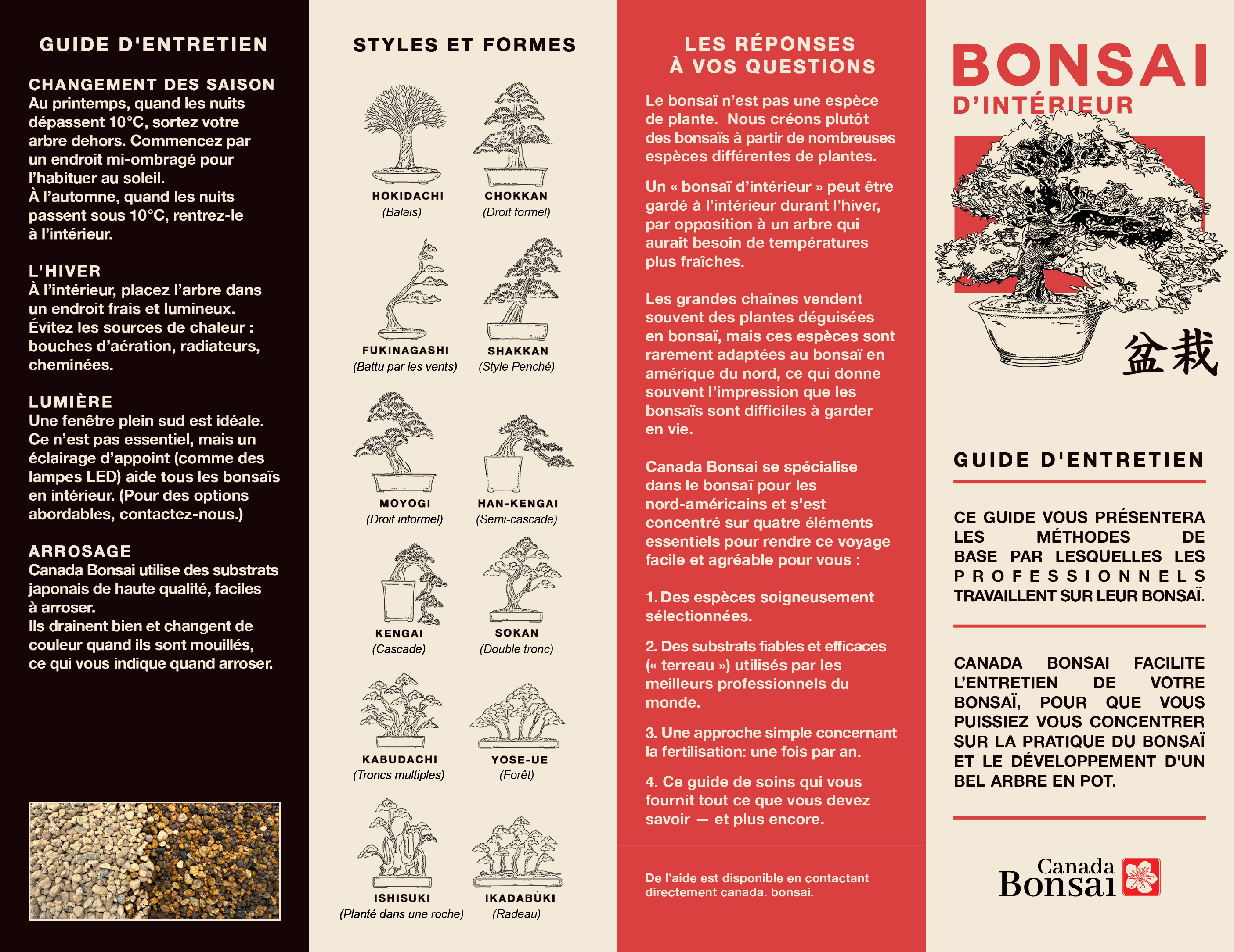 Create your own Bonsai Kit (Indoor) - FREE SHIPPING