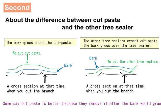 Kirikuchi-naorl CB Tools