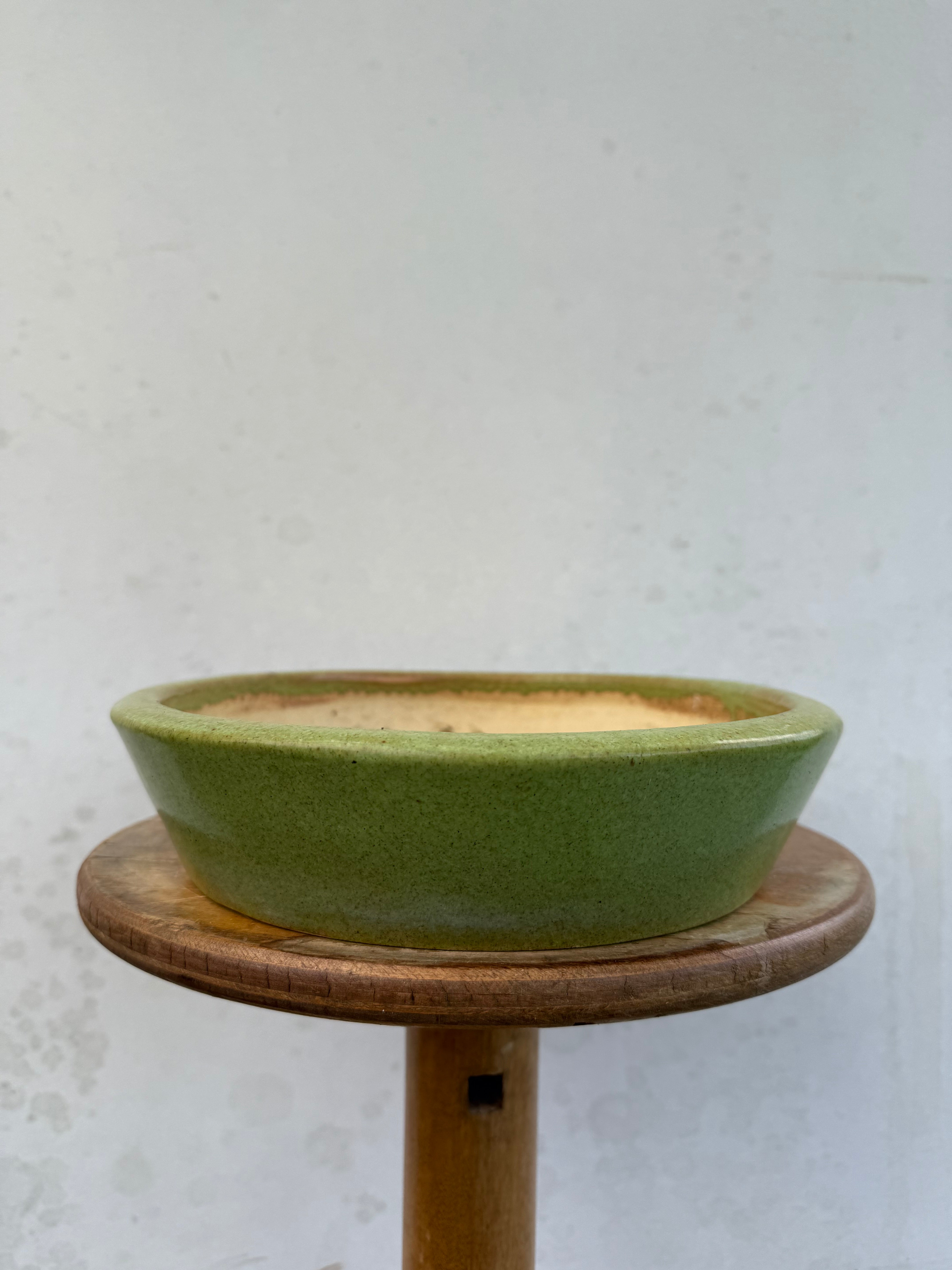 Koyo #185