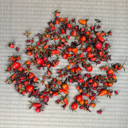 DIOSPYROS rhombifolia