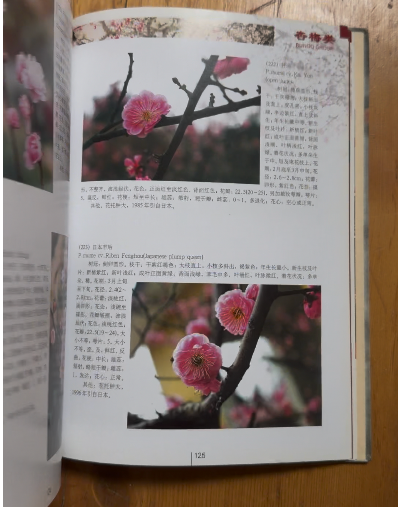 Encyclopédie Méi (南京梅普)