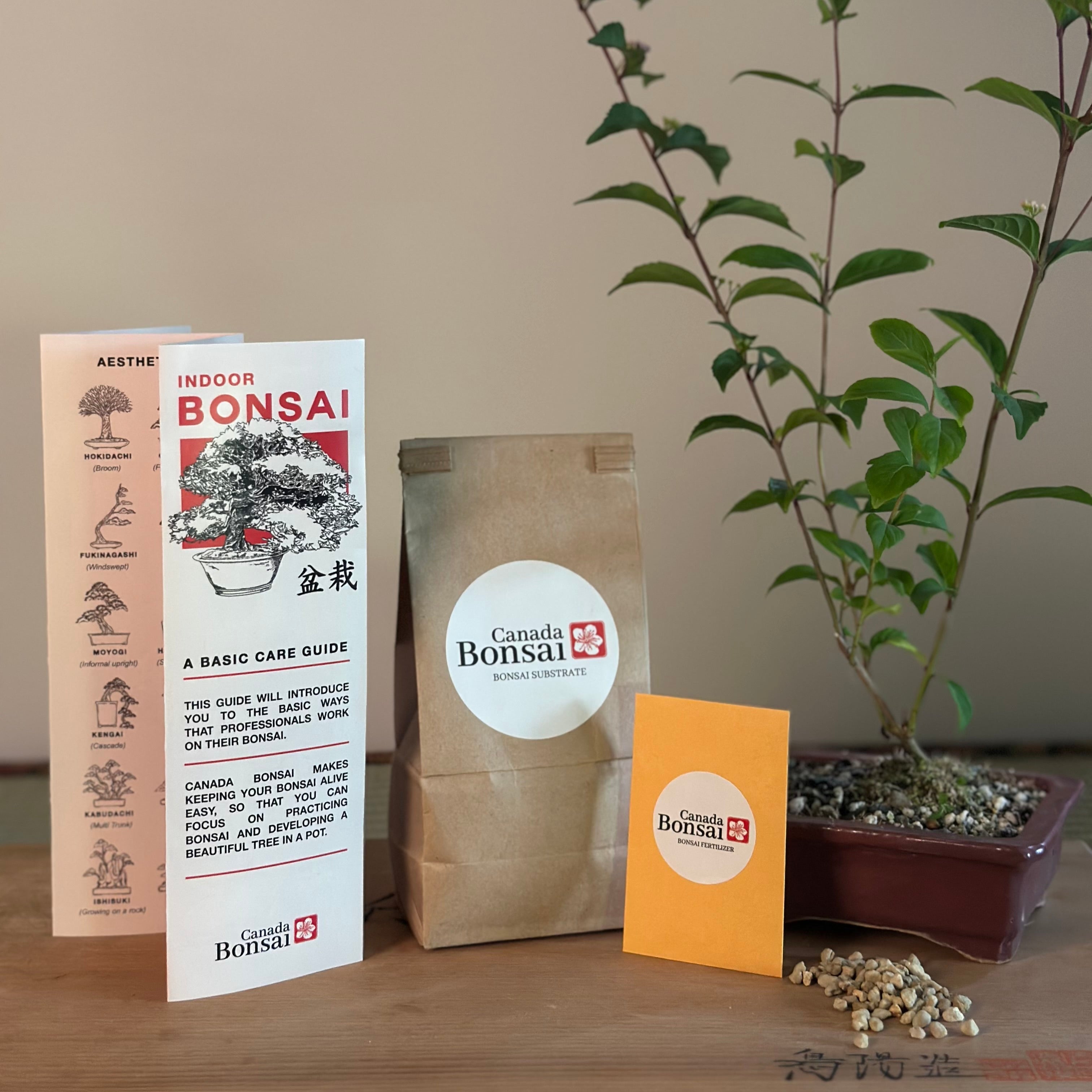 Bonsai Kit (Indoor)