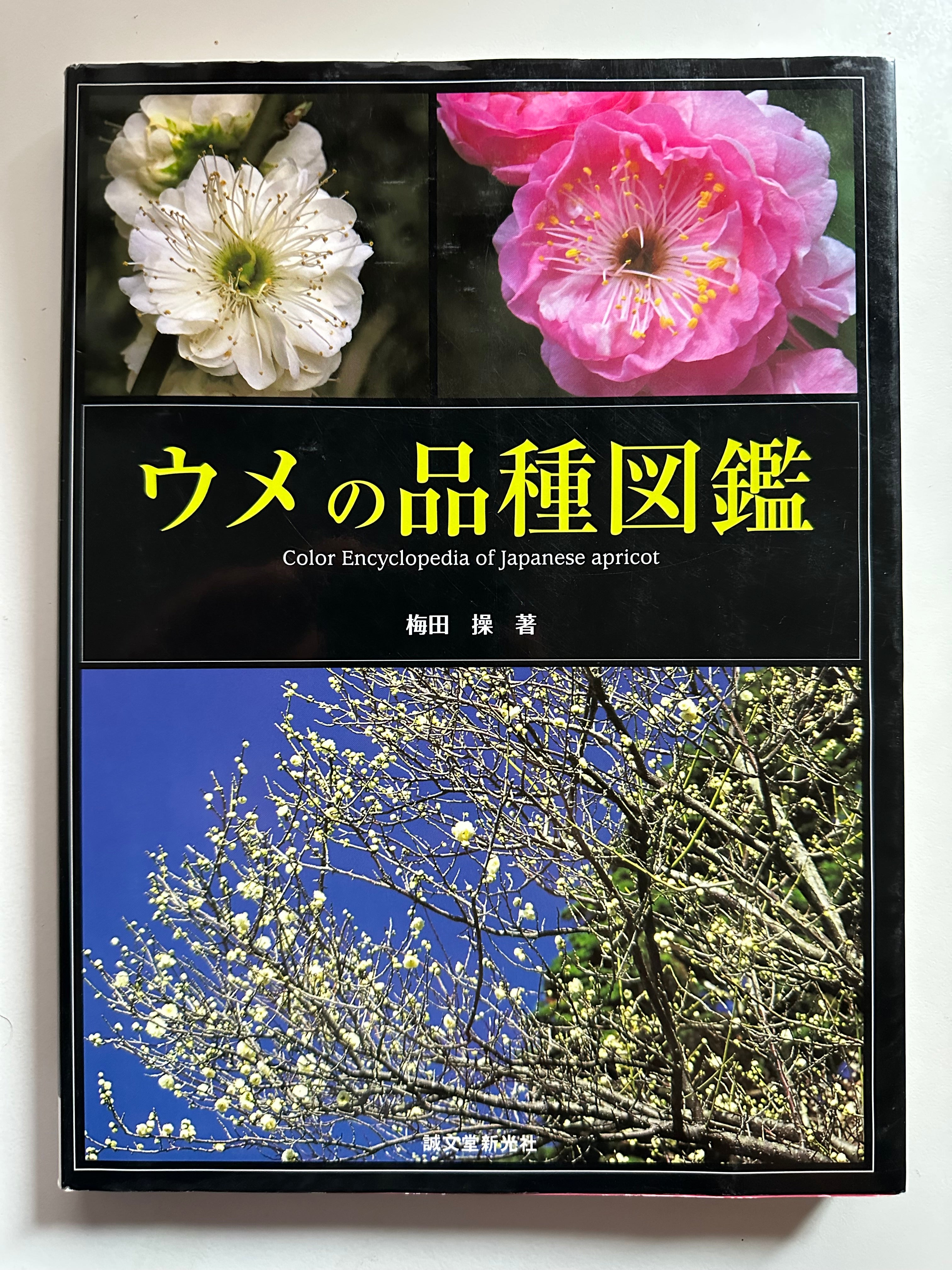 Ume Encyclopedia